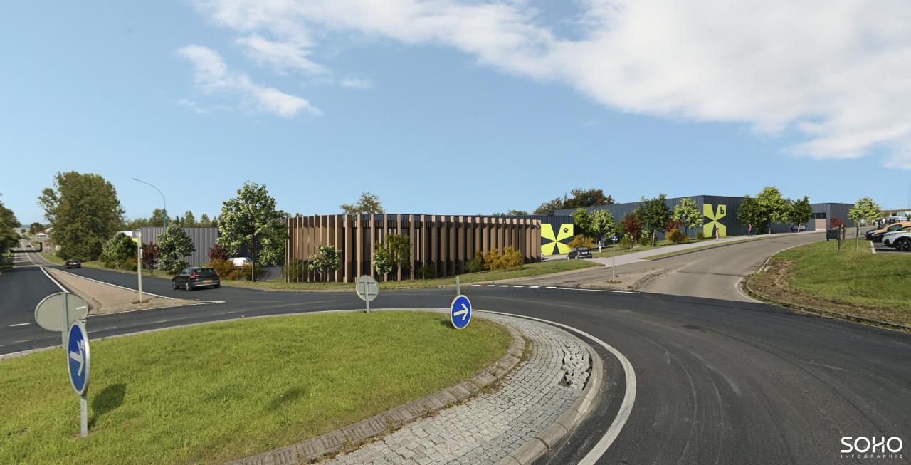 Local d'activité Phalsbourg 12466m² Vente local d'activité Phalsbourg Moselle OVACT2317417 1